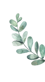 Decorative Leaf